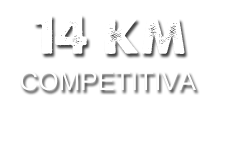 14comp